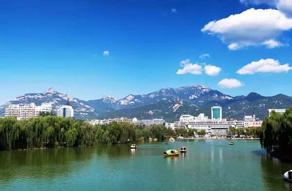 2019山东16市最全房价排名,山东临沂县城房价排名