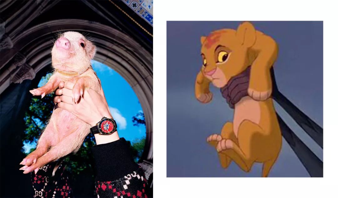 揭穿身边的骗局文章,揭穿新骗局视频