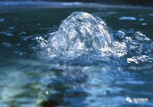 大洪山风景区白龙池传说,随州民间传说九龙山的故事