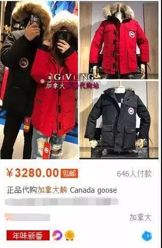 考拉加拿大鹅最新结果,考拉加拿大鹅真假对比