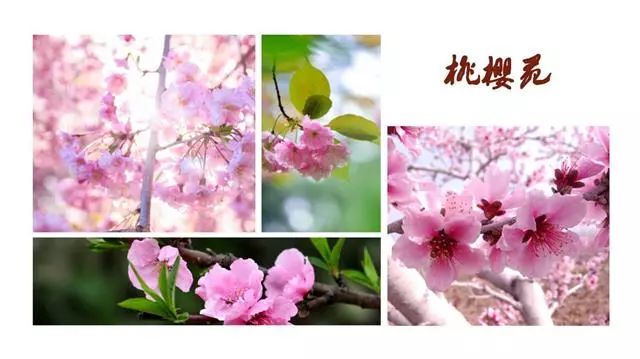 探访桂林东西巷历史文化街区,城事记忆展