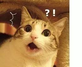 日本进口网红眼药水,这几款日本网红眼药水被国外禁售