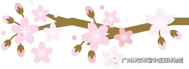 待春花烂漫赏樱花盛开,春花怒放等你来