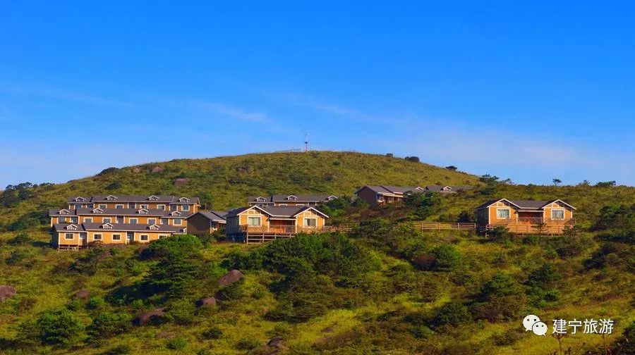 福建树屋酒店推荐,福建特色树屋民宿度假屋特点