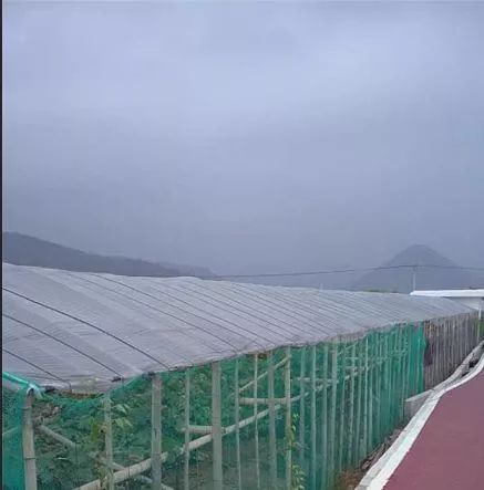 放心不放心，消费者说了算！龙湾这个示范区上榜！