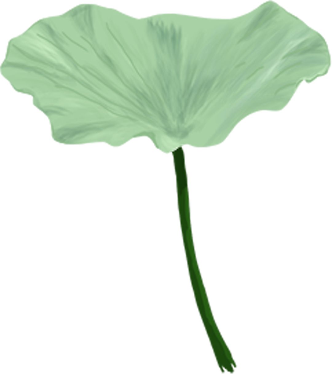 走近光华丨选择光华的N个理由