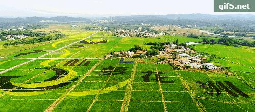 咸宁下半年有哪些大工程开工,咸宁市最新重要消息