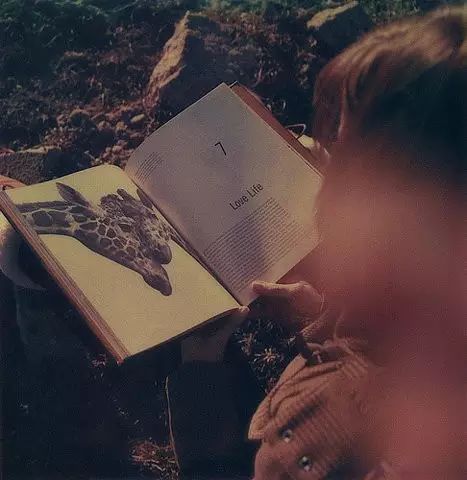 刘小枫：高中二年级时读到《被*辱侮**与被损害的》，我的小说阅历发生了决定性转折