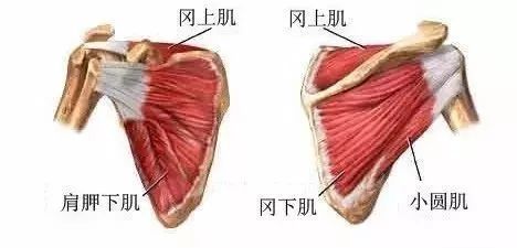 康复锻炼手麻是怎么回事,手麻的治疗思路这5个点要记住