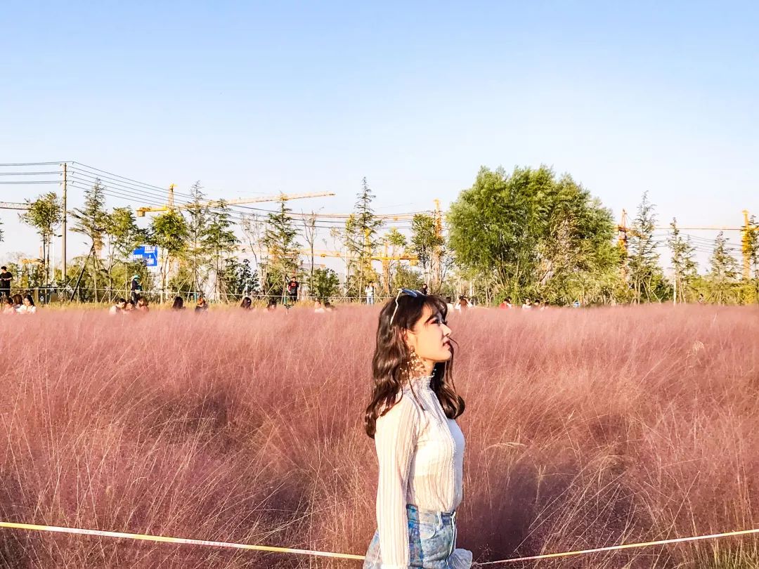 郑州欢迎你2018,2020郑州招才引智大会