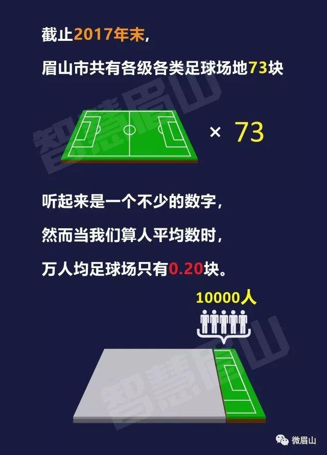 眉山24号篮球场,250跑道足球场面积