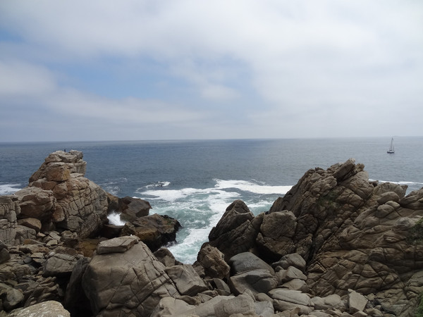 智利飞洛杉矶要多久,智利飞澳大利亚航线