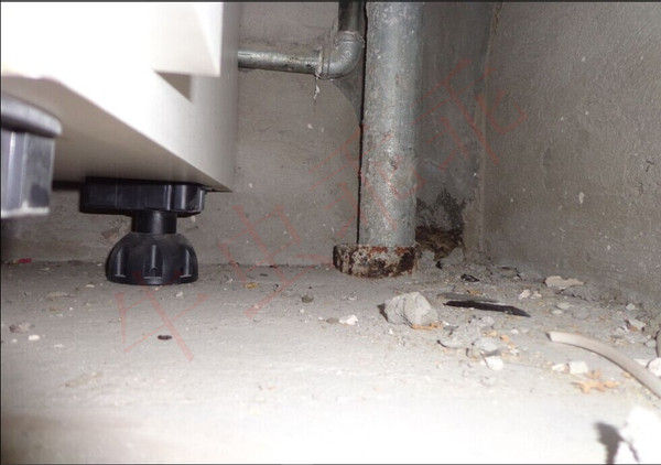 房间里进了老鼠什么办法抓最好,住高层老鼠怎么消灭