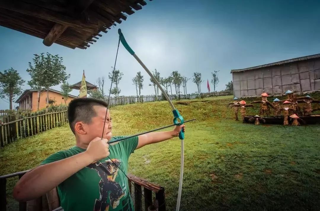 200亩，游客年超30万！这个用枯树建成的农庄，为啥这么牛？