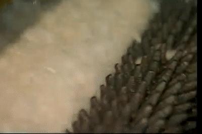 塑料瓶可以制成衣服吗,塑料瓶能做什么衣服卖