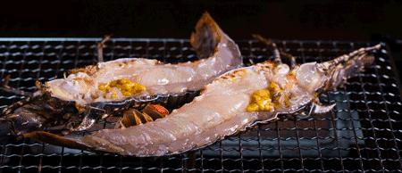 渔家女揭露海鲜市场黑幕,渔家女直播回放