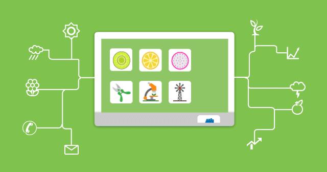 复合肥假肥怎么看,如何识别字母肥料