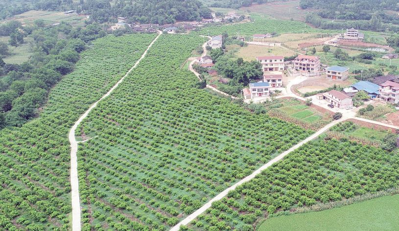 2018年县脱贫攻坚总体思路,安岳2018目标绩效