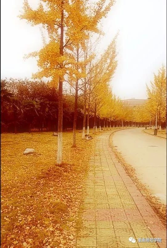 在师院，我想陪你从A走到Z