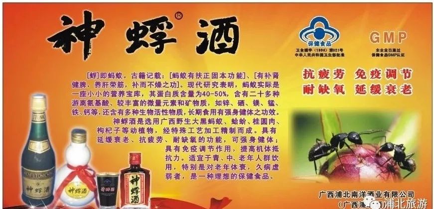 常回家看看买点礼物,常回家看看送给牵挂的人