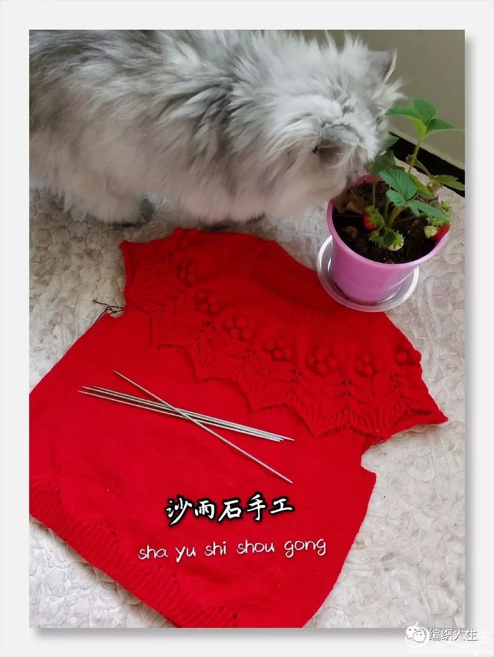 从领口往下织的两色儿童毛衣,从上往下织圆肩儿童毛衣的款式