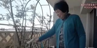 一辈子没结婚，7个单身女人买房同居10年，80岁了还染发、化妆、四处去浪……把老年生活过成了诗