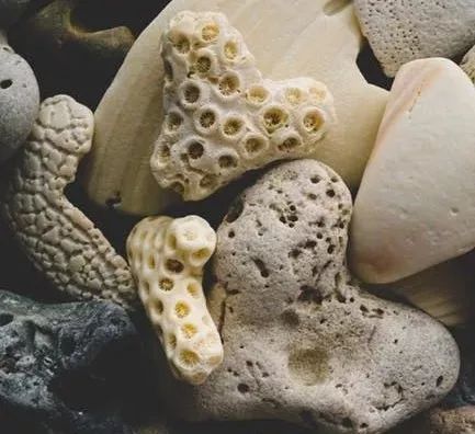 出国要不要准备一些手续,出国必知七大问题