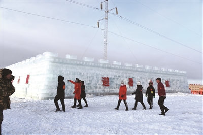 初冬去撒欢,到雪地里撒欢
