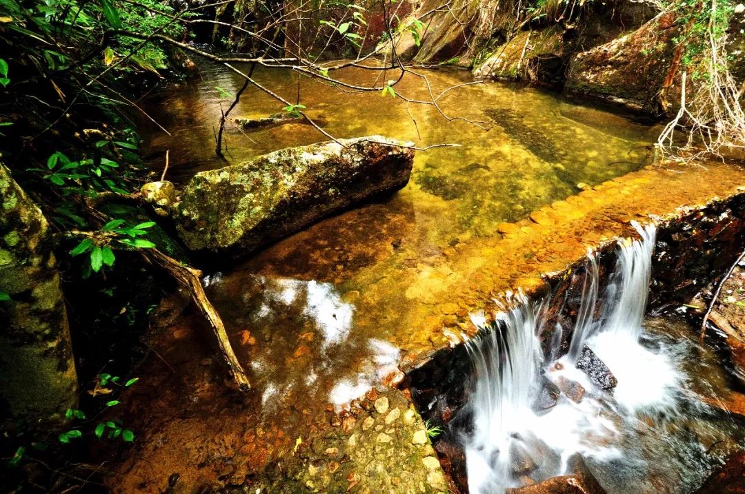 武夷山一日游详细攻略,武夷山超详细旅游攻略