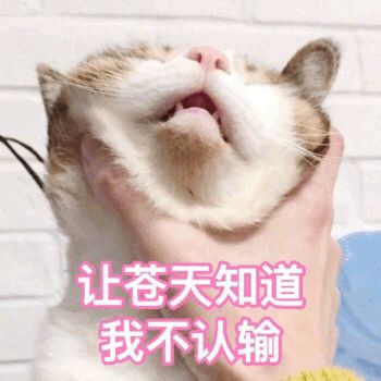 华人行贿美国海关获刑,中国人过美国海关被逮捕罚款