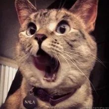 境外护照丢失办理加急旅行证,境外公民最新便民服务