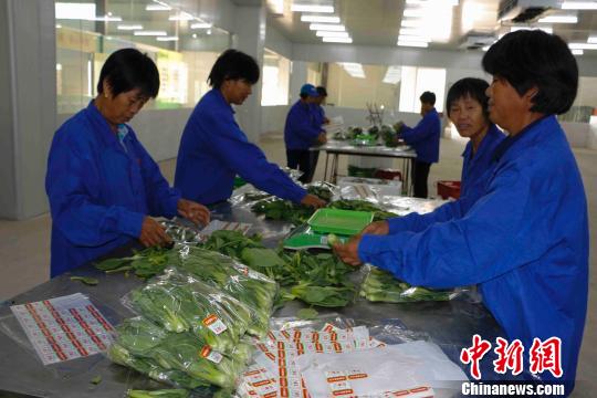 精准扶贫永州市政策解读,永州脱贫攻坚新闻发布会