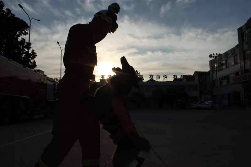 消防支队疫情期间慰问信,政府给消防队慰问信