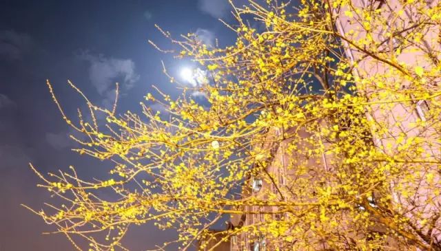 从南钢到扬子的距离,是大厂人一日三餐的味道