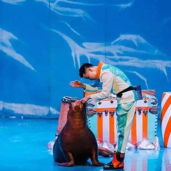 大连春节旅游攻略最值得去的地方,玩遍大连