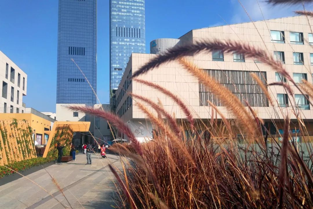 新春打卡领取好运,新春打卡大礼包