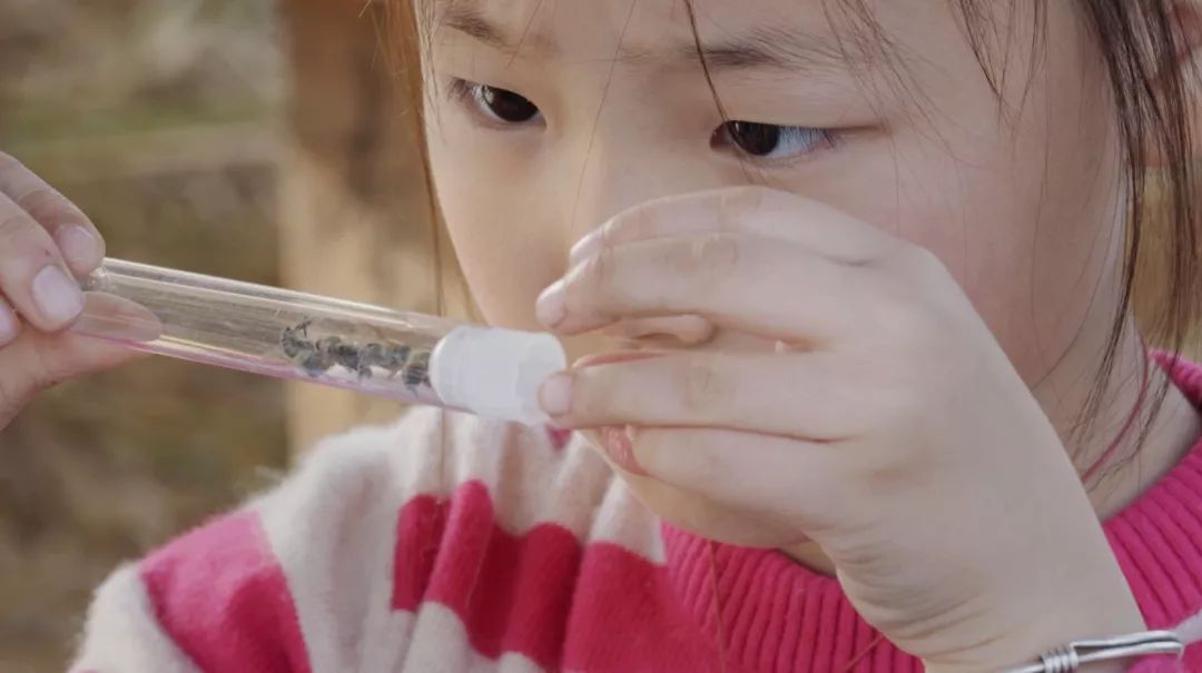 《小镇里的中国》制片人：小镇不是建造出来的它是有根生长出来的