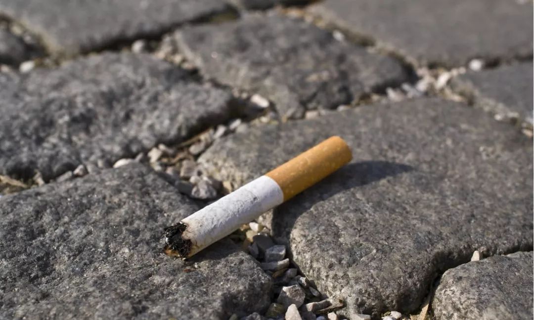 星星之火可以燎原超燃,星星之火可以燎原森林防火