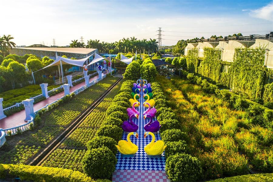 广州城中村田园风光,广州乡村原生态年味