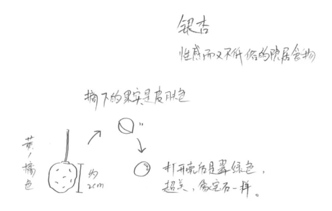 过完年你还回来吗,过完年你还走么