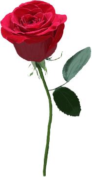 德州市优秀女律师,德州市优秀女律师候选人公示