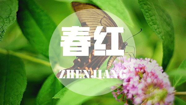 近期天价蔬菜,100元一斤的天价菜