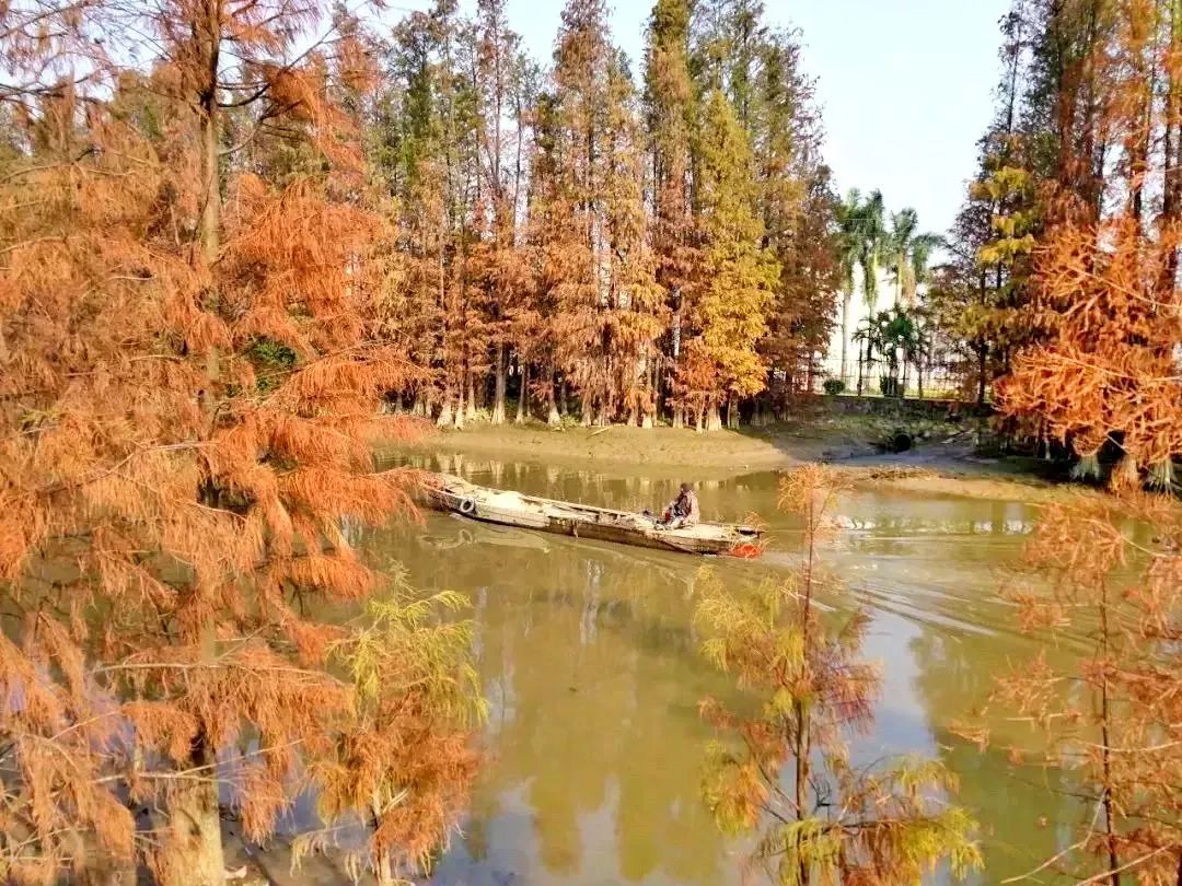 中山最美的免费公园,中山十大免费公园