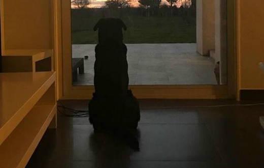 闃挎牴寤风悆鍛樿惃鎷夎浆浼氳垂,钀ㄦ媺姝讳簡杞細璐圭粰浜嗗悧