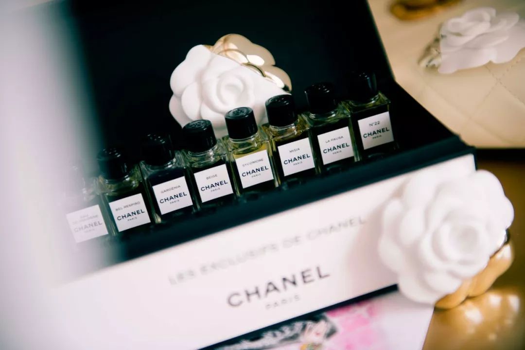 用鼻子寻找春天,用鼻子闻气味找对象