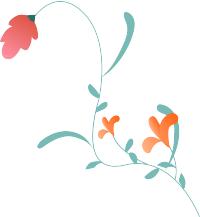 养生堂今日重播,北京卫视养生堂四步养心护心法