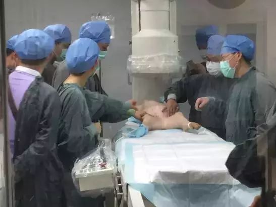 颈动脉支架介入,颈动脉支架植入术术前准备