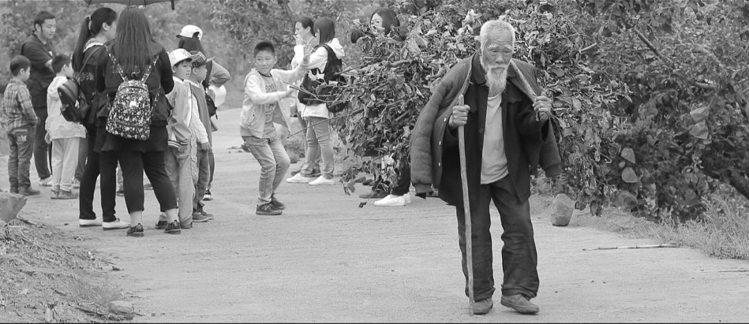 文化艺术报图片,文化艺术报