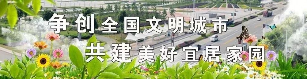 被e租宝骗了100万怎么办啊,你被e租宝骗了多少