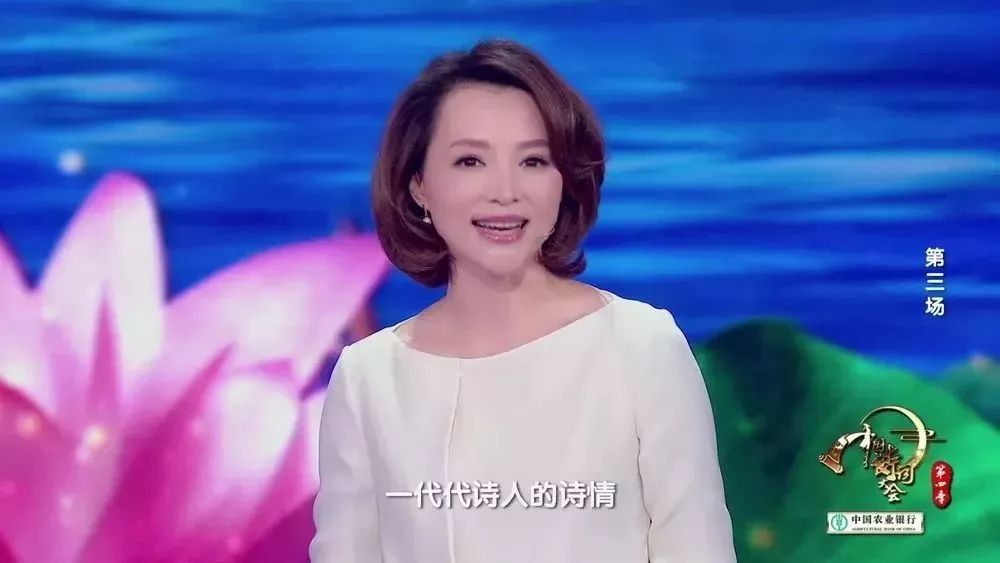 董卿诗词大会经典语录摘抄,董卿的经典语录中国诗词大会